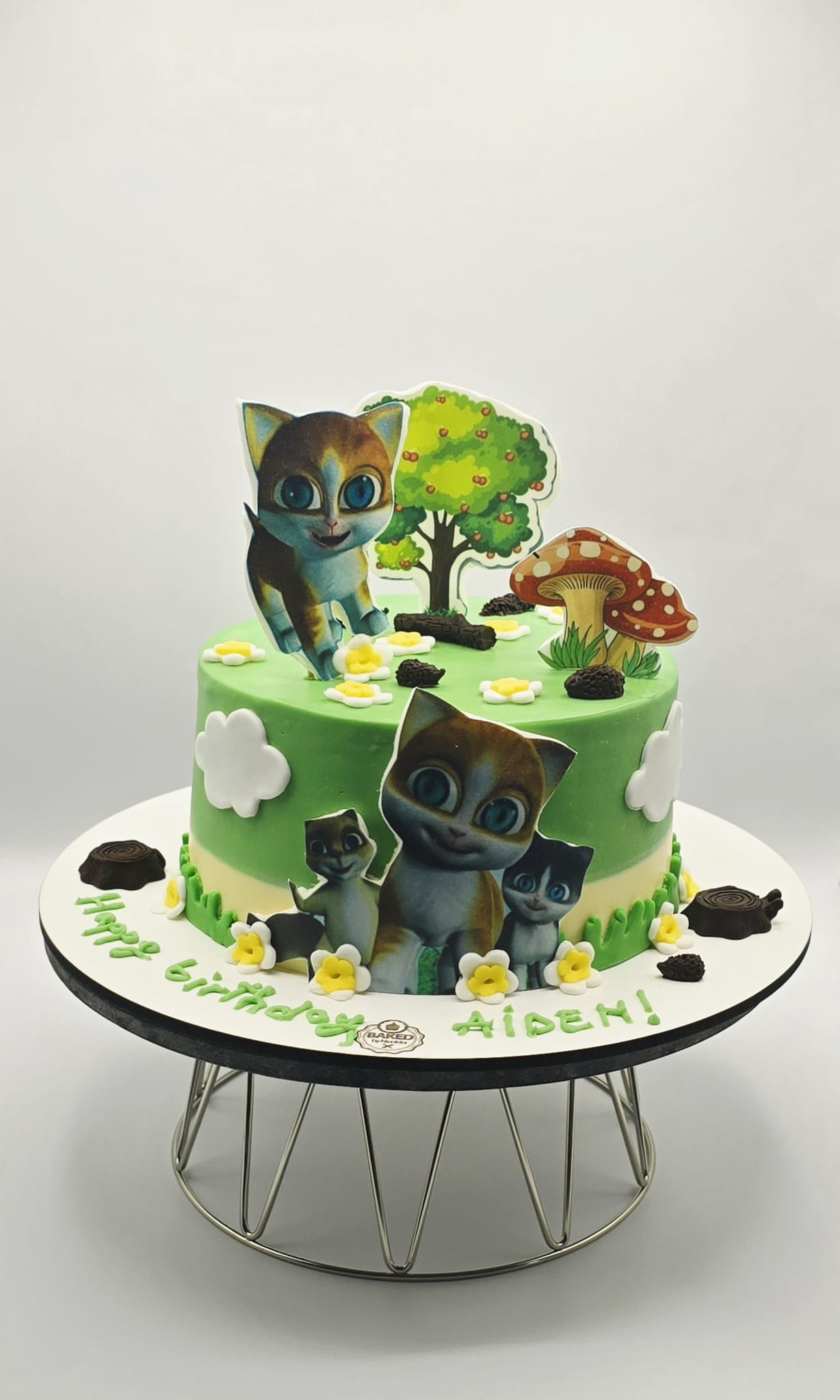 Bespoke custom celebration cake for Boys & Adventures handcrafted by Nicoleta